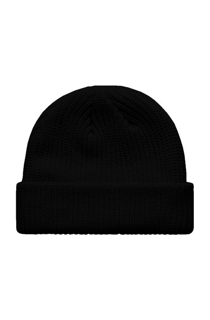 IA Logo Beanie