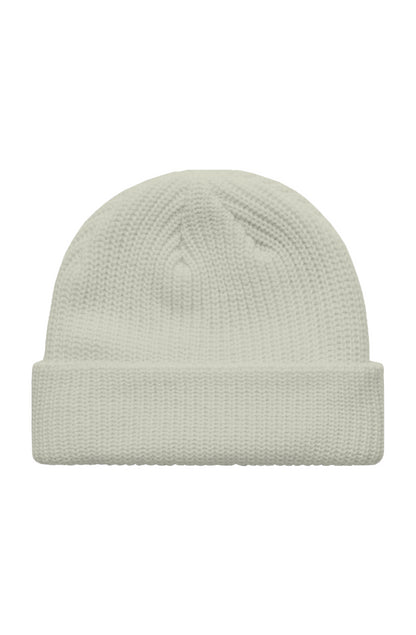 IA Logo Beanie