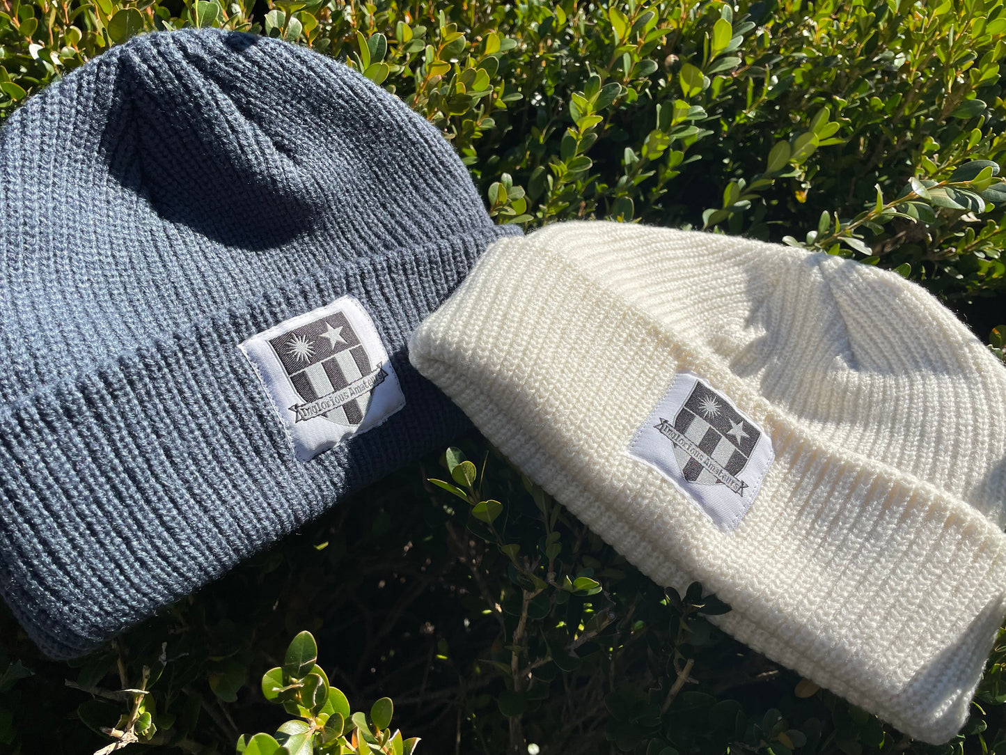 IA Logo Beanie